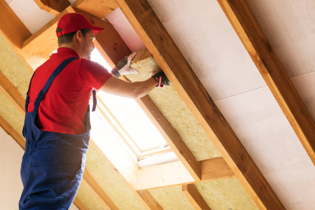 Best Attic Insulation Installation  in Roosevelt, NJ